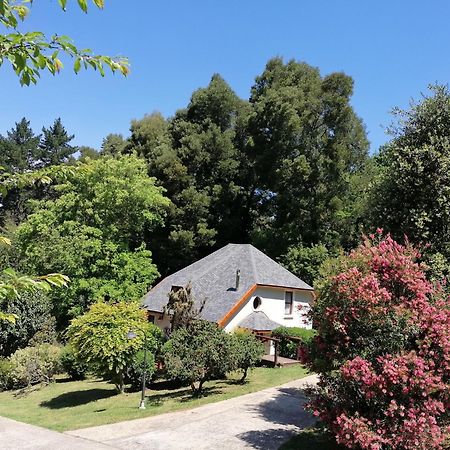 Hogsback Arminel Hotel Exterior photo